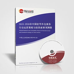2015-2020年中國軟件外包服務行業運營策略與投資前景預測