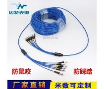 光纜 構建數字世界的隱形動脈
